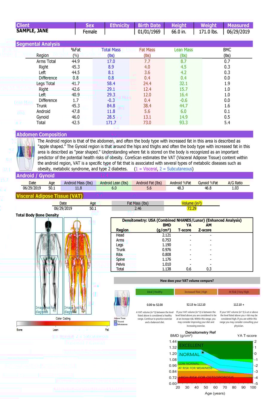All about the DEXA Body Composition Scan